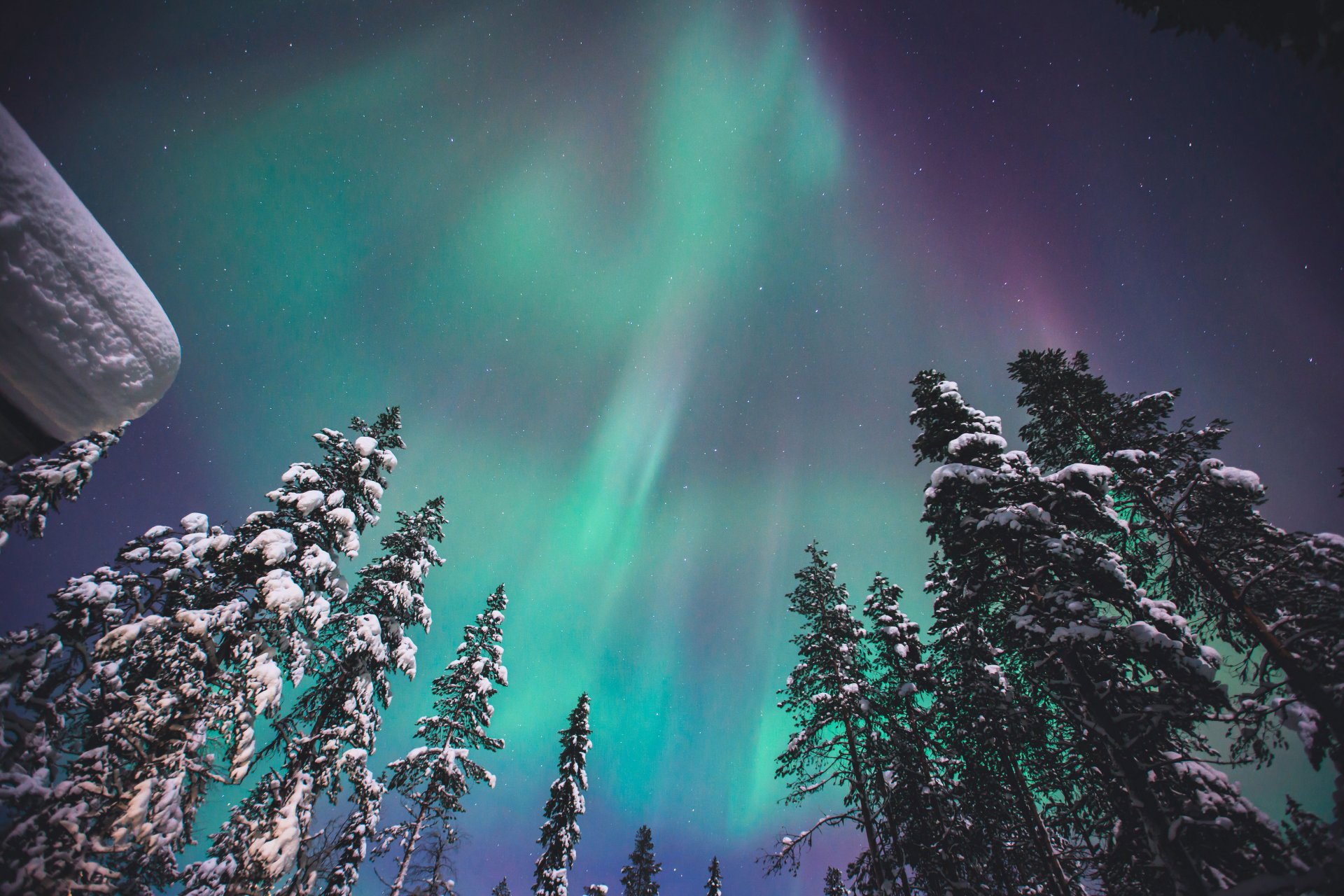 Northern lights in Banff National Park in the winter