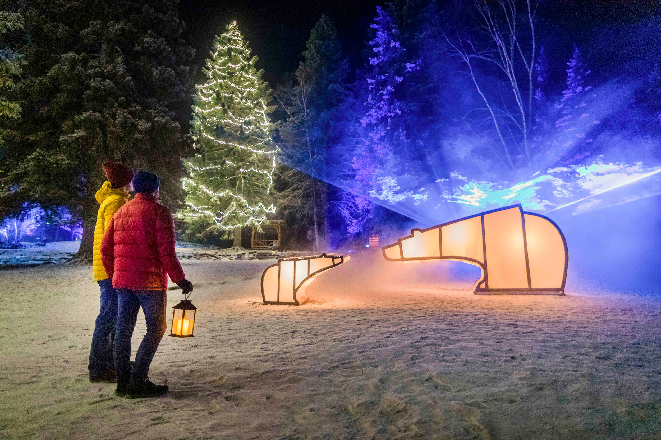 Two people looking at the light displays for the In Search of Christmas Spirit in Banff National Park