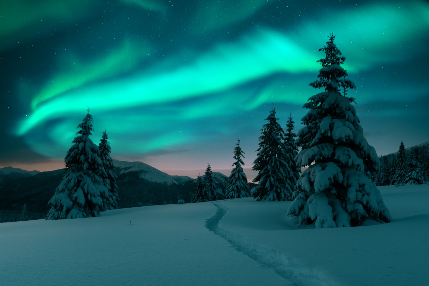 Northern Lights above a wintery forest.