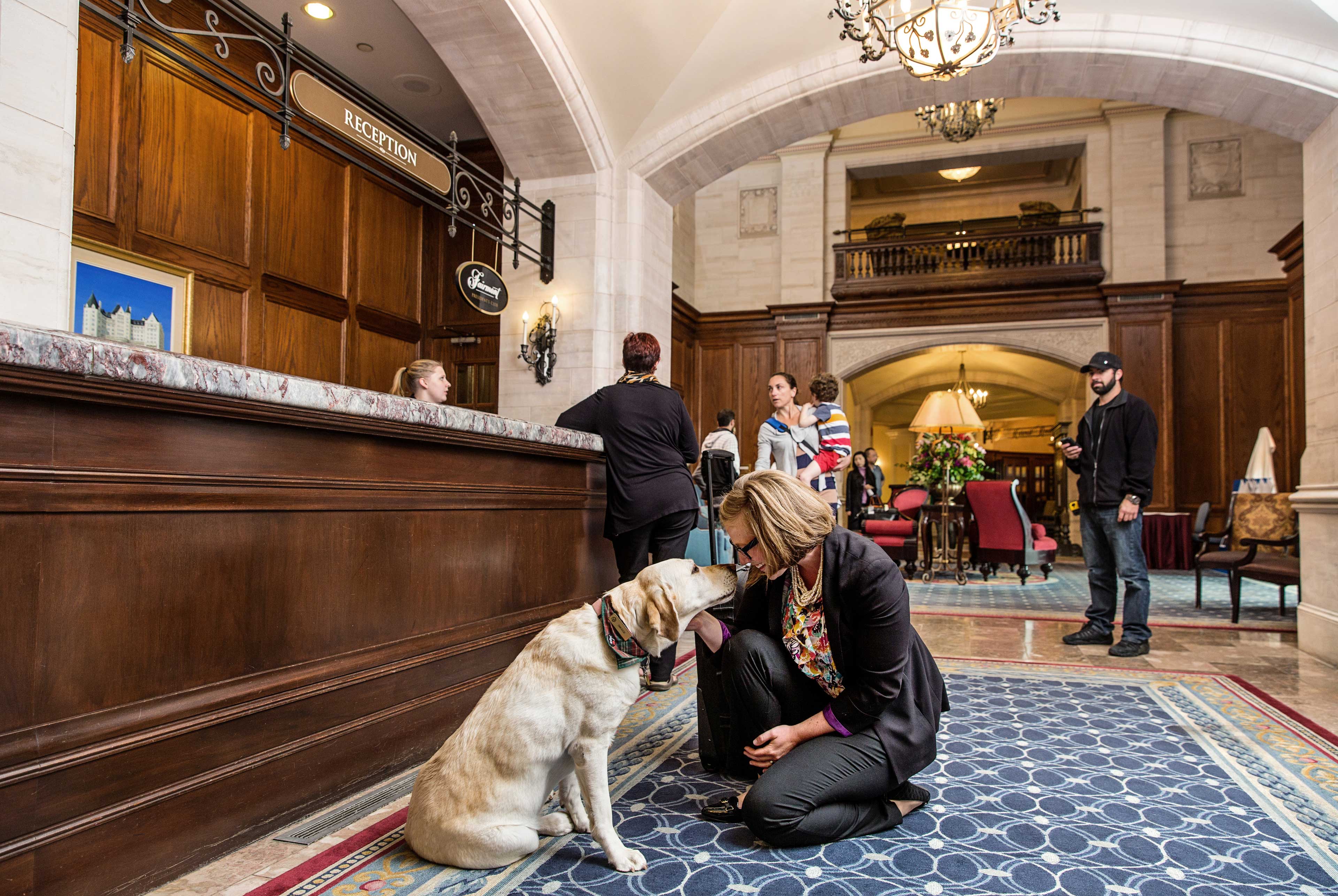 A guest greeting the ambassador dog at Hotel MacDonald in Edmonton. 