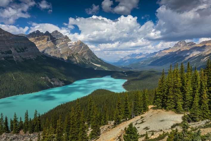 Peyto Lake in Alberta, Canada