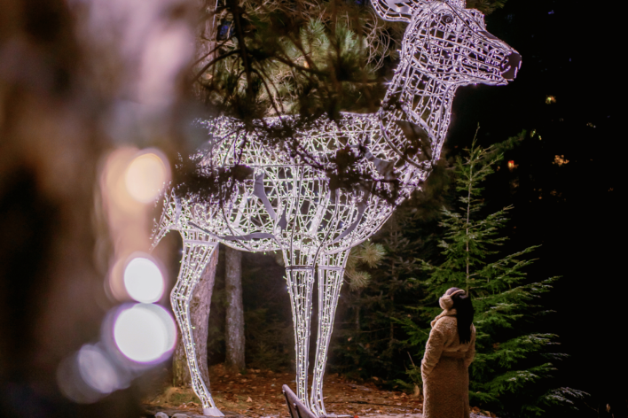 Decorative deer lit up in Whistler Village