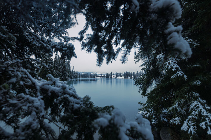 Snow-covered evergreen trees framing Lac Beauvert at Fairmont Jasper Park Lodge